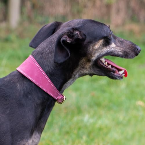 Ancol Timberwolf Lederhalsband Whippet Leder Halsband Raspberry 30-34cm