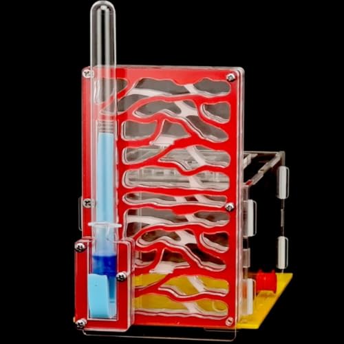 Ameisennest, Acrylnest, Urlaub, Geburtstagsgeschenk, T-Design, Futterbereich, Ameisenfarm für Schlafzimmer, Küche, Wohnzimmer (Rot)