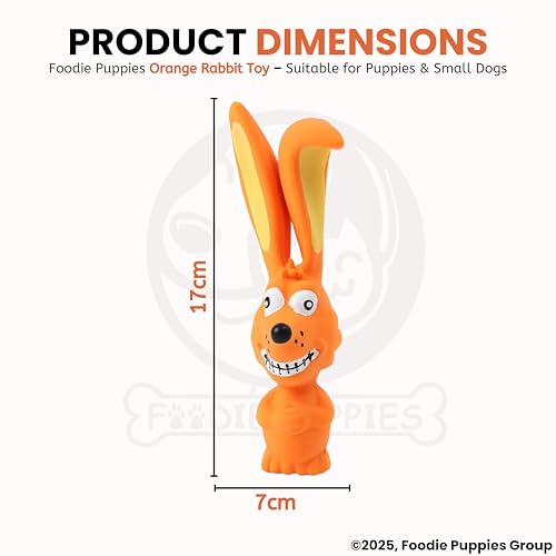 Image of Foodie Puppies Natural Latex Rubber Squeaky (Orange Rabbit, 17cm) Dog Toy | Small to Medium Dogs & Puppy | Durable, Animal Design, Fetch & Chew Safe Play Toy | Reduce Separation Anxiety