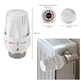 LNGJIN B0CNJRF1XK lato 2