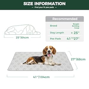 Fxw Washable Pee Pads for Dogs Puppy Pads with Super Absorbent 41 X 27 Specifically Designed for 42inch Cages Rectangle  Cucciolini Doodles Fxw washable pee pads for dogs puppy pads with super absorbent 41 x 27 specifically designed for 42inch cages rectangle   cucciolini doodles