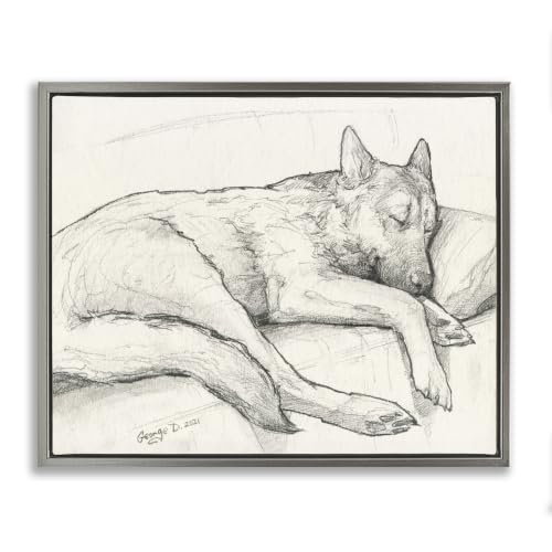 Curled Dog Graphite Pencil Drawing, 17 x 21 Inch Canvas in Floater Frame