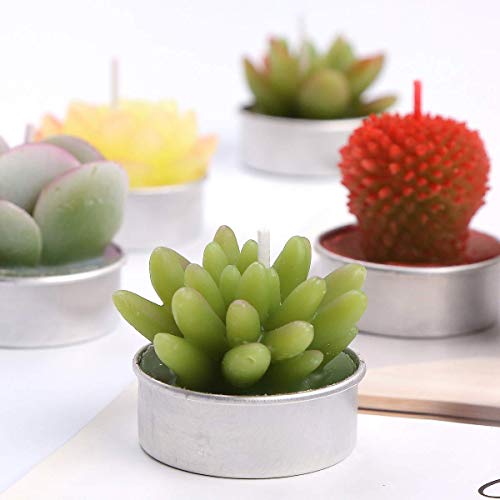 Wangmingtu Succulent Cactus Tea Light Candles Unscented 6Pcs Assorted For Birthday Party Favors Wedding Decor Gift Sets #TOP3