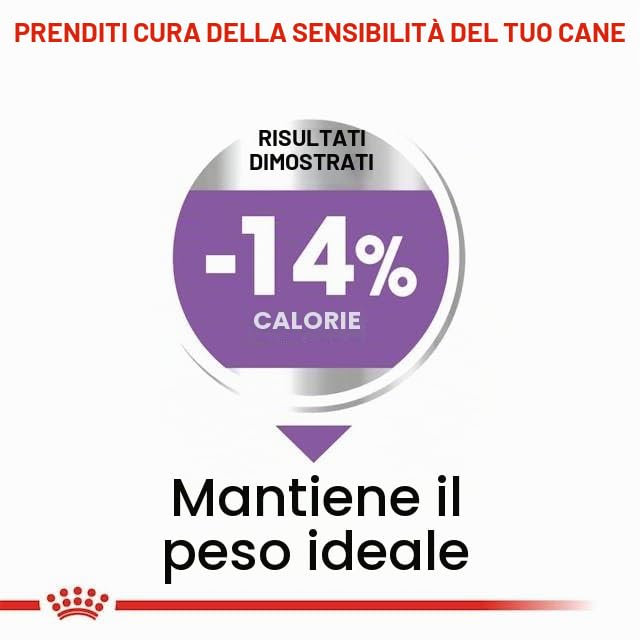 ROYAL CANIN CANE MAXI STERILISED ADULT 12 KG