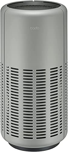 LEAF 250 AP-B250-CG [�N�[���O���[]