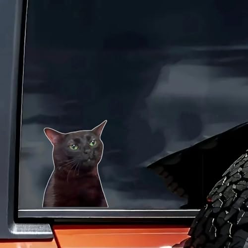 Calcomanías de gato negro impermeables y troqueladas de 6 pulgadas para carrocería 2