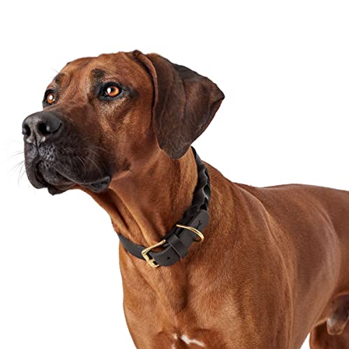 HUNTER Hundehalsband SANSIBAR SOLID, Leder, belastbar & strapazierfähig, handgelochtene Details, Messing-Beschläge, mit Schlüsselanhänger, Made in Germany, Farbe: dunkelbraun, Größe: 55