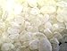 Chios Mastiha Tears Gum Greek 100% Natural Mastic Packs From Mastic Growers (25gr Medium Tears)