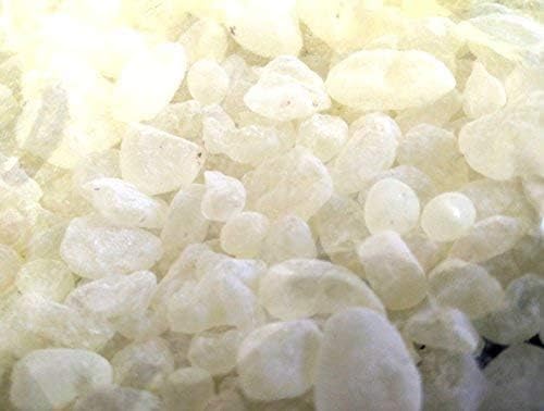 Miniatura 9 de Chios Mastiha Tears - Paquetes de masilla griega 100% natural de cultivadores de masilla (lágrimas medianas de 0.88 oz)