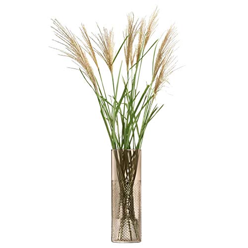 LSA InternationalWICKER VASE H15.7 inches (40 cm), TAUPE Brown, W 5.1 x D 5.1 x H 15.7 inches (13 x 13 x 40 cm)