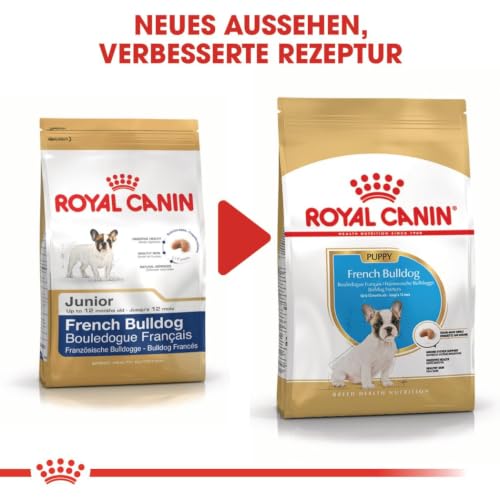 Royal Canin - RC Bulldog Francese Puppy