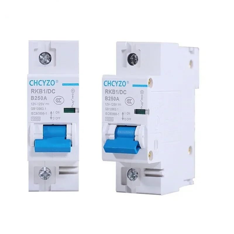Interruptor Diferencial Salvavidas， Disyuntor CC 2p 12-125 V 1P Miniatura Automático Protector Vehículo Eléctrico 80A/100A/125A/200A/250A Protección De Batería(2P,200A)