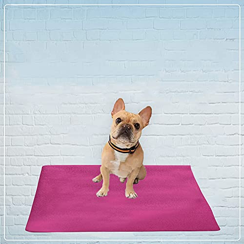 Image of Trance Waterproof Pet Training Pads | Reusable Pee Pad for Dogs Cats Puppy and Pets | Washable Pet Dry Sheet | Potty Trainer | Soft and Hypo-Allergenic (Large, Size 1.4 x 1 m | 140 x 100 Cms, Berry Pink)
