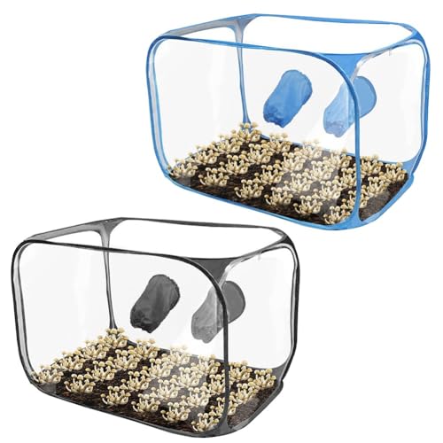 NEIQIUWING Still Air Box, set per la coltivazione di funghi, portatile, compatto e silenzioso Air Box Mycologia