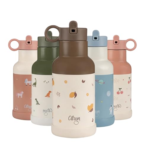 Citron Stainless Steel Insulated Water Bottle Kids 350ml, BPA & Lead-Free, Vacuum Seal Leak Proof Straw Lid