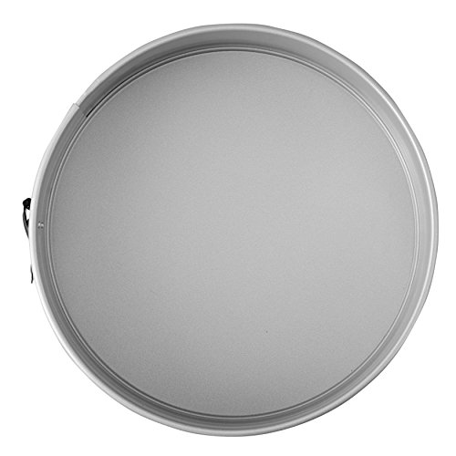 Wilton Recipe Right Non-Stick Springform Cake Pan, 10-Inch #TOP2
