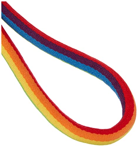 Pantone Design-Schlüsselband Key Chain Short, Schlüsselanhänger für Handgelenk, robust und farbenfroh, Pride Colors, Nylon, Kurz, 18617