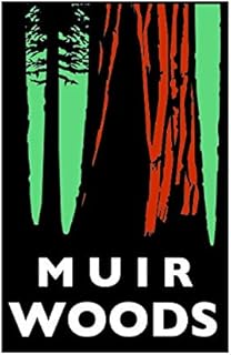 Muir Woods Art Sticker Decal Self Adhesive National Park Hike Travel Camp 1.25" Wide