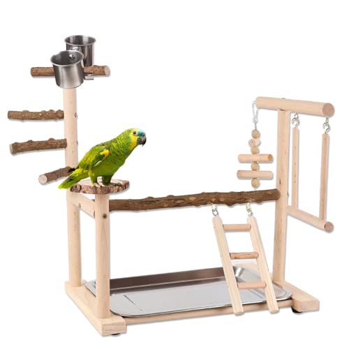 Honicemar Vogel Spielständer – Holz papageienständer, Vogel Spielplatz mit Leiter, Schaukel, Feeder-Cup, Tablett und Kauspielzeug Haustier Übungsspiel Gym Ständer für Kleine bis Mittelgroße Vögel