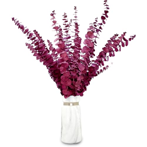 20 pcs Eucalipto Secado Naturales Flores Secas de 45cm, Planta de Eucalipto Rojo Fresco Natural Hecha de Ramas de Hojas de eucalipto Reales para Decoración de Casas, Fiestas, Bodas