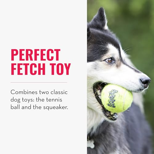 KONG – Squeakair Balls – Premium-Hundespielzeug, Quietschende Tennisbälle, Zahnschonend – Für Mittelgroße Hunde (6er–Pack)