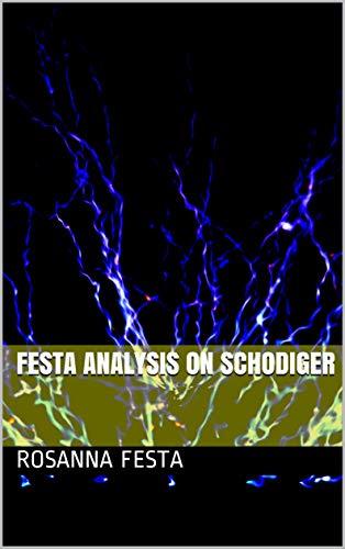 FESTA ANALYSIS ON SCHODIGER (English Edition)