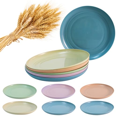Taefuwr Wheat Straw Plates Reusable Plastic Plates- 6 Inch Wheat Straw Microwave & Dishwasher Safe Pasta Plate(Small 6 Pack)
