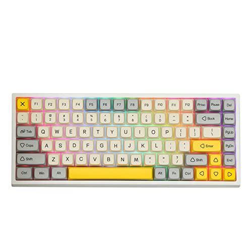 EPOMAKER EP84 84-Key RGB Hotswap Wired Mechanical Gaming Keyboard with PBT Dye-subbed Keycaps for Mac/Win/Gamers (Gateron Yellow Switch, Geometry Grey XDA Profile)