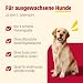 animonda GranCarno Hunde Nassfutter Single Protein Rind pur (6 x 400g)