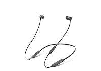 Algopix Similar Product 1 - BeatsX Earphones - Gray