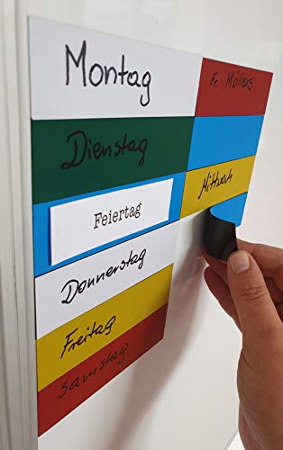 MTS Magnete - Pellicola magnetica rivestita