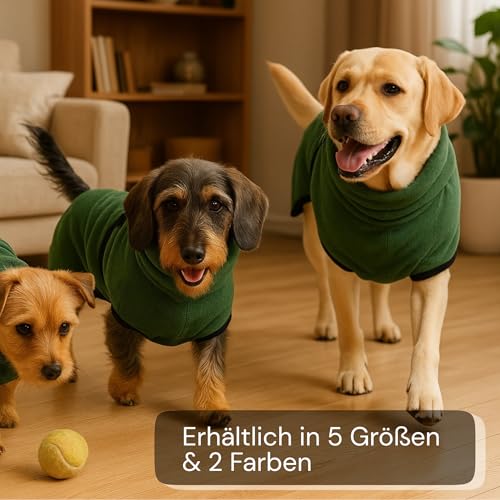 Canisphere Hundebademantel (Größe XS, kleine Hunde, blau) - Saugstarker Bademantel Hund aus Mikrofaser - Schnelltrocknend & Flauschig - Hunde Bademantel für kleine Hunde