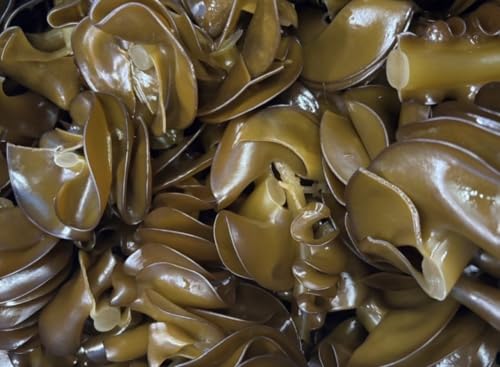 【船上凍結】 国産 めかぶ 海藻 食物繊維 美容 健康 ご飯のおとも 低カロリー 生めかぶ 冷凍保存 冷凍めかぶ (1kg(500gx2))