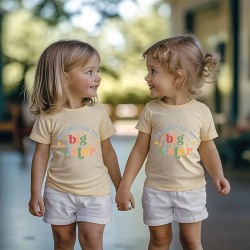 Image of Big Sister Announcement T Shirt Toddler Girls Promoted to Big Sister Tees Outfits 1-7 Years