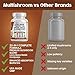 Clean Nutraceuticals Lions Mane 20in1 Mushroom Supplement with Turkey Tail Reishi Cordyceps Chaga Maitake Meshima Poria Cocos Shiitake Oyster Porcini Enoki - 1 Pack