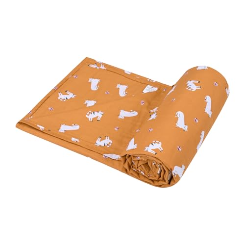 Image of Trance Home Linen 100% Cotton | Kids Dohar | Single Bed | 150 GSM | Reversible Ac Comforter | Light Weight All Season Soft Blanket (58x90 Inches | Kittens)