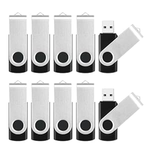 8GB Flash Drive 10 Pack Bulk USB Flash Drives, USB2.0 Thumb Drive USB Stick for Data Storage Backup, Jump Drive Pen Drive Zip Drive Memory Stick with Indicator, USB Storage Flash Drive Swivel Design