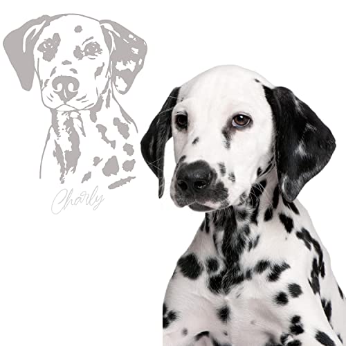 Klebe-X Rassehunde Autoaufkleber Hunde | große Motivauswahl | einfache Konfiguration Hund Autoaufkleber | Größe S
