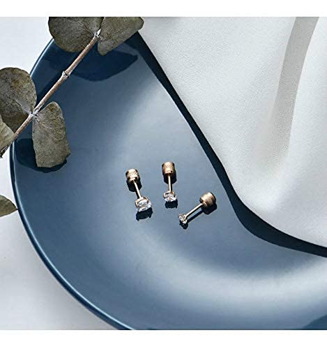 5 Pairs Screw Back Stud Earrings,Hypoallergenic Stainless Steel Cubic Zirconia Double Sided Ear Ringing For Women Men Cartilage Tragus Earring 2-6Mm (Rose Gold) #TOP2