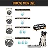 Active Pets Dog Bowl Set