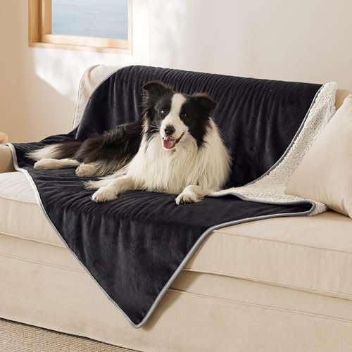 Image of Bedsure Cat Blanket for Indoor Cats - Waterproof Calming Cat Blankets for Couch Bed Protection, Sherpa Fleece Pet Blanket, Soft Plush Reversible Throw Furniture Protector, 60 inchx50 inch, Black
