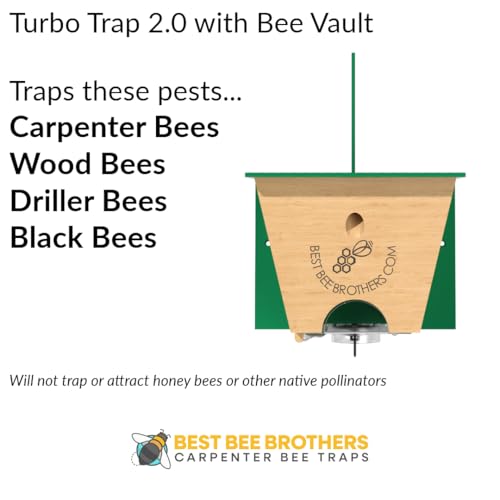 Best Bee Brothers Turbo Trap 2.0, Professional-Grade Carpenter Bee Trap for Outside with Bee Vault, Large Viewport & Spring-Loaded Door, 4.1” W x 4.8” H x 5.9” D, White (2 Pack)