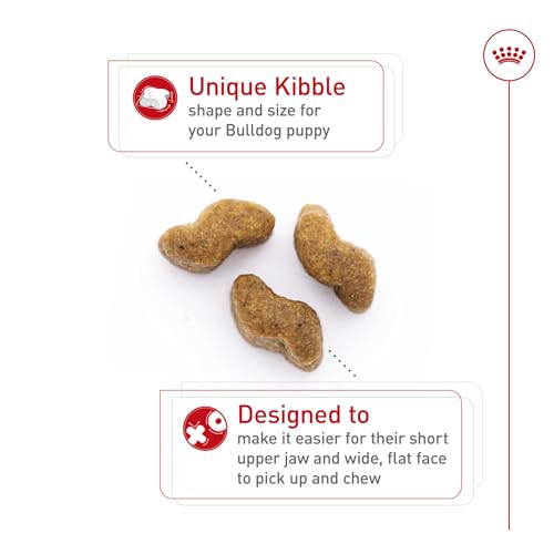 ROYAL CANIN Breed Health Nutrition Bulldog Puppy Dry Dog Food, 6-Pound by Royal Canin