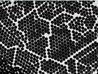 Nanopartículas de sílice coloidal Alpha Nanotech (disponibles de 20 nm a 1000 nm) (200 nm, 10 mgml)