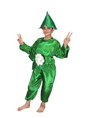Image of Kaku Fancy Dresses Fruit and Vegetable Costume Paper Cutout with Cap For Kids | Healthy Food Costume For Boys & Girls (Tracksuit Not Included)