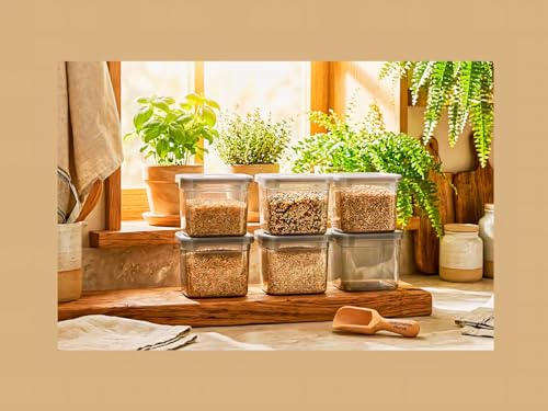 Image of HomeWiz Airtight Kitchen Storage Box 700ml Pack of 8 | Food Grade BPA-Free Kitchen Jars | Storage & Containers Set | Container Set For Pulses | Unbreakable Plastic Container Set | Multipurpose Storage