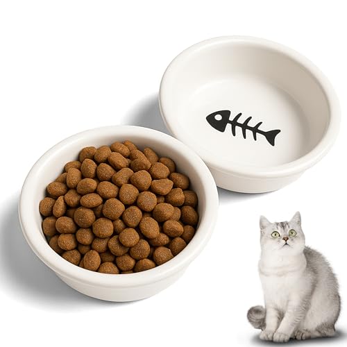 Ciotola Acqua Gatto e Cibo 2 Pezzi - Ciotole per Gatti Eleganti, Resistenti e Igieniche