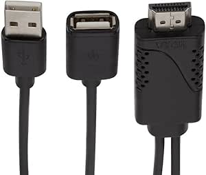 Adaptateur DisplayPort Vers HDMI 4K - Convertisseur Pour PC, Ordinateur Portable, Moniteur, Câble 25 Cm, Résolution 4K X 2K