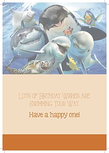 Gracefully Yours Animal Selfies Birthday Greeting Cards Featuring Howard Robinson, 12, 4 Designs/3 Each With Inspirational Message #TOP2