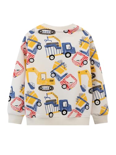 Boys Sweatshirts Casual Sweatshirts Cotton Sweatshirts Long Sleeve T-shirts Crew Neck Cartoon Tops for Boys-5262